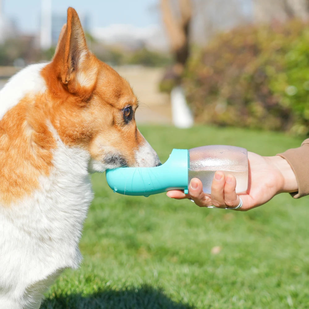 Portable Dog Water Bottle and Bowl, 300ml