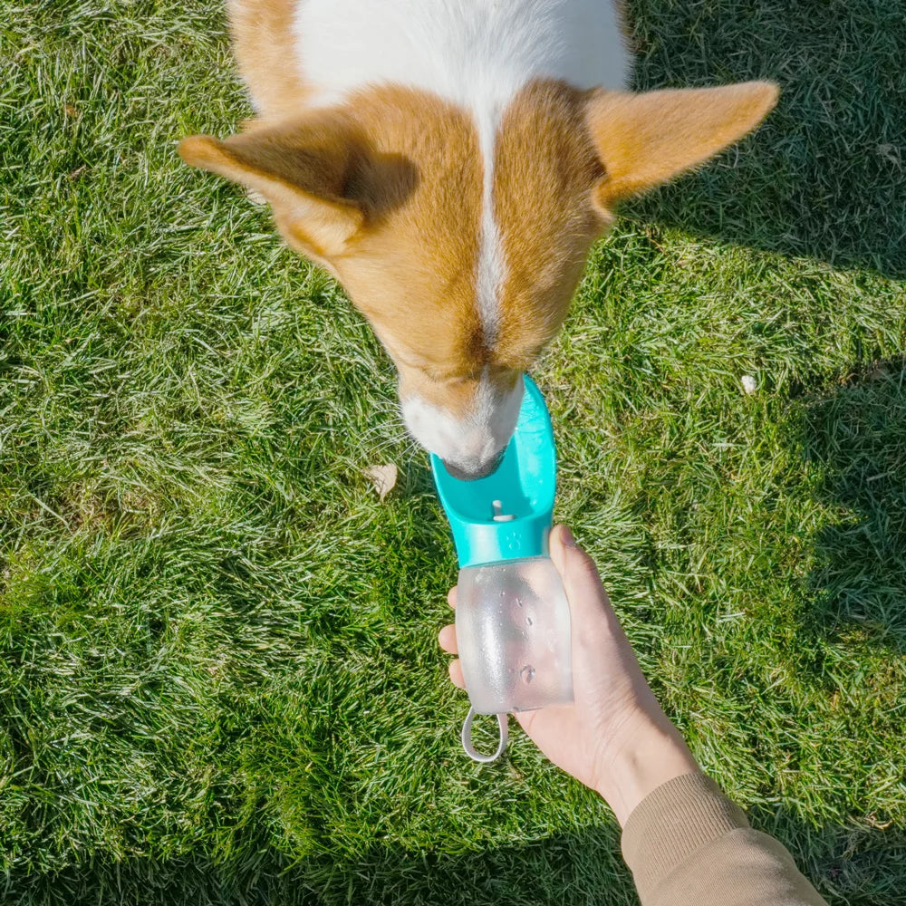 Portable Dog Water Bottle and Bowl, 300ml